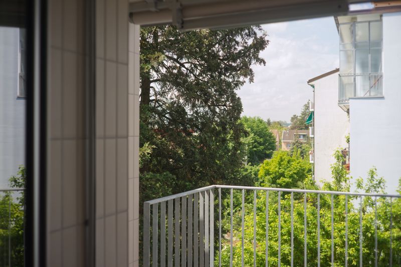 Umbau & Aufstockung Mehrfamilienhaus, Basel – Ausblick vom neuen Balkon in den dichtgrünen Innenhof